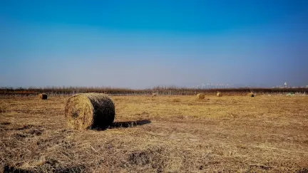 카지노 슬롯 쉑 모바일 앱